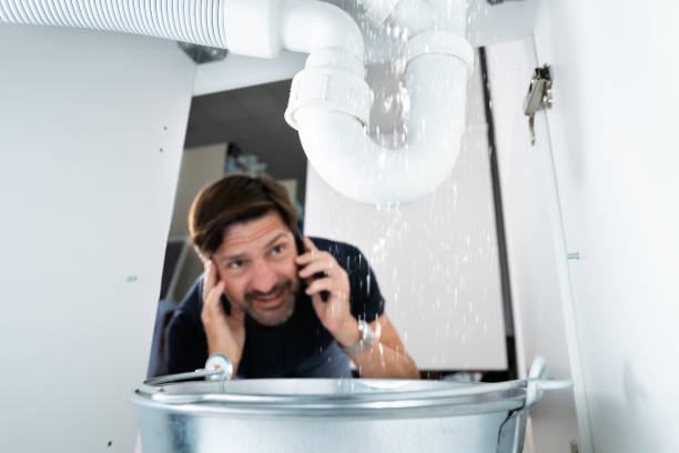 Best Affordable Plumber Near Me  in Renovo, PA