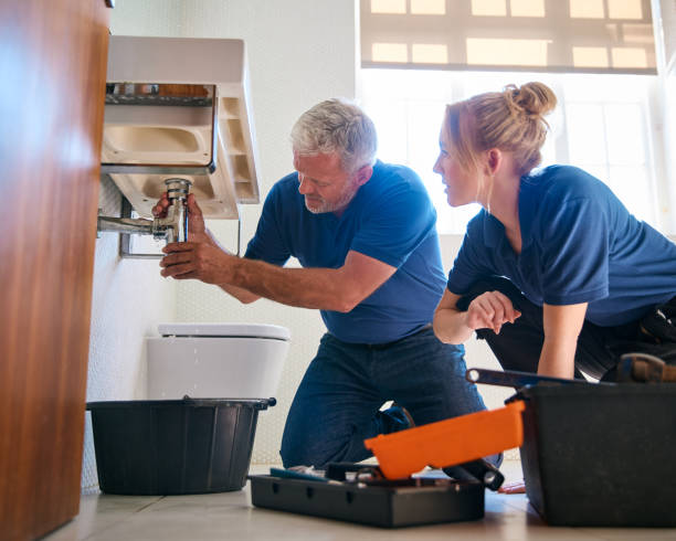 Best Affordable Plumbing Services  in Renovo, PA