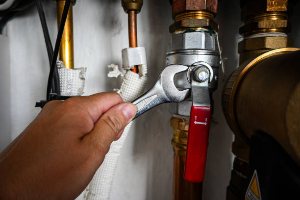 Best Affordable Plumber Near Me  in Renovo, PA